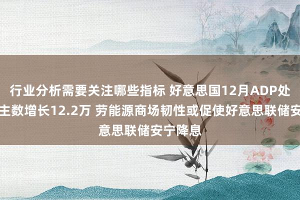 行业分析需要关注哪些指标 好意思国12月ADP处事东谈主数增长12.2万 劳能源