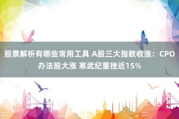 股票解析有哪些常用工具 A股三大指数收涨：CPO办法股大涨 寒武纪重挫近15%