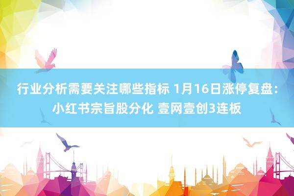 行业分析需要关注哪些指标 1月16日涨停复盘：小红书宗旨股分化 壹网壹创3连板