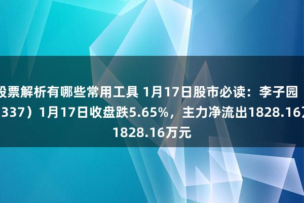 股票解析有哪些常用工具 1月17日股市必读：李子园（605337）1月17日收盘跌5.65%，主力净流出1828.16万元