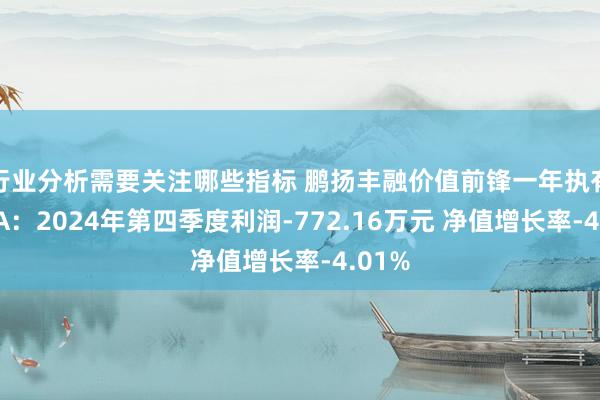 行业分析需要关注哪些指标 鹏扬丰融价值前锋一年执有夹杂A：2024年第四季度利润-772.16万元 净值增长率-4.01%