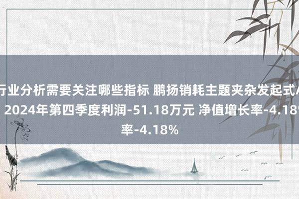 行业分析需要关注哪些指标 鹏扬销耗主题夹杂发起式A：2024年第四季度利润-51