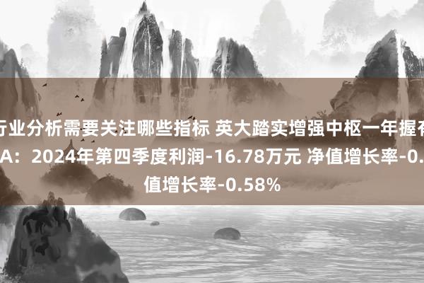 行业分析需要关注哪些指标 英大踏实增强中枢一年握有羼杂A：2024年第四季度利润