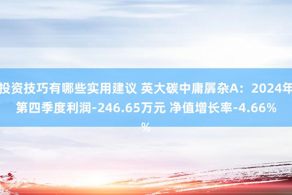 投资技巧有哪些实用建议 英大碳中庸羼杂A：2024年第四季度利润-246.65万