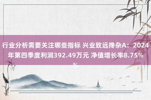 行业分析需要关注哪些指标 兴业致远搀杂A：2024年第四季度利润392.49万元 净值增长率8.75%