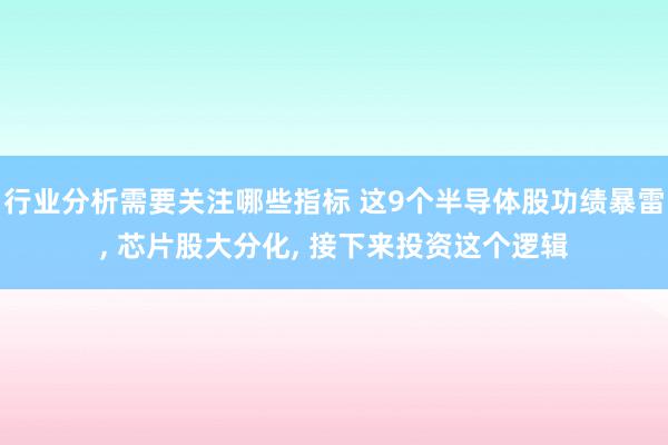 行业分析需要关注哪些指标 这9个半导体股功绩暴雷, 芯片股大分化, 接下来投资这