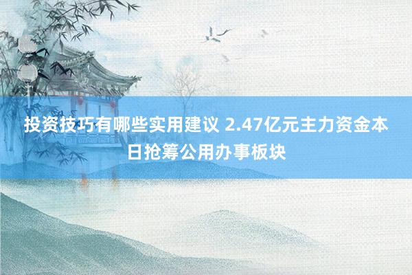 投资技巧有哪些实用建议 2.47亿元主力资金本日抢筹公用办事板块