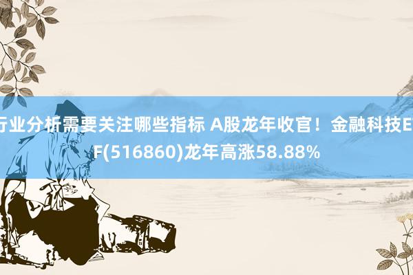 行业分析需要关注哪些指标 A股龙年收官！金融科技ETF(516860)龙年高涨58.88%