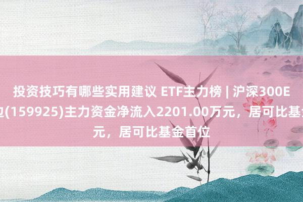 投资技巧有哪些实用建议 ETF主力榜 | 沪深300ETF南边(159925)主