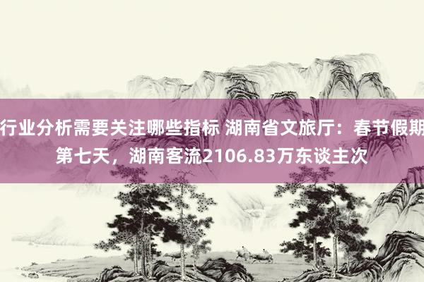 行业分析需要关注哪些指标 湖南省文旅厅：春节假期第七天，湖南客流2106.83万