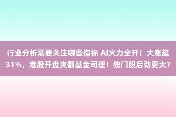 行业分析需要关注哪些指标 AI火力全开！大涨超31%，港股开盘爽翻基金司理！独门