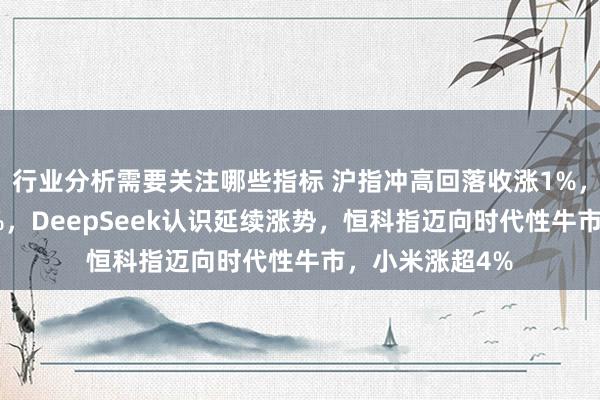 行业分析需要关注哪些指标 沪指冲高回落收涨1%，北证50涨近5%，DeepSeek认识延续涨势，恒科指迈向时代性牛市，小米涨超4%