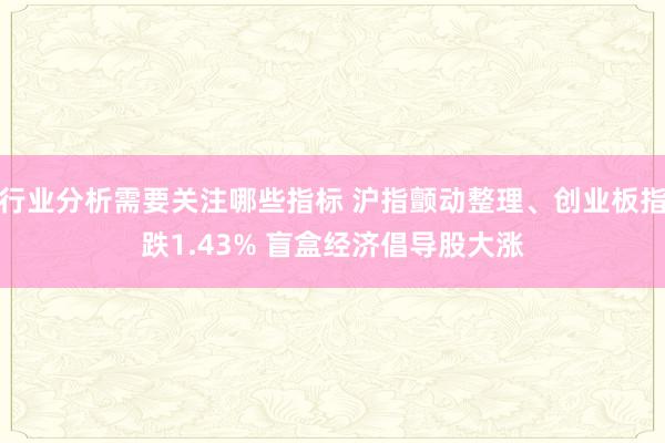 行业分析需要关注哪些指标 沪指颤动整理、创业板指跌1.43% 盲盒经济倡导股大涨