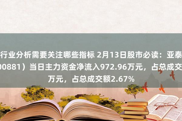 行业分析需要关注哪些指标 2月13日股市必读：亚泰集团（600881）当日主力资金净流入972.96万元，占总成交额2.67%