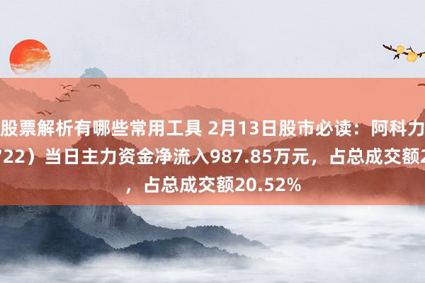 股票解析有哪些常用工具 2月13日股市必读：阿科力（603722）当日主力资金净流入987.85万元，占总成交额20.52%