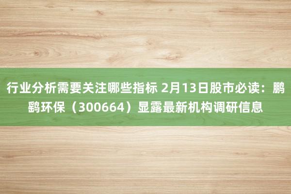 行业分析需要关注哪些指标 2月13日股市必读：鹏鹞环保（300664）显露最新机构调研信息