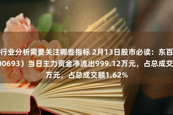 行业分析需要关注哪些指标 2月13日股市必读：东百集团（600693）当日主力资金净流出999.12万元，占总成交额1.62%