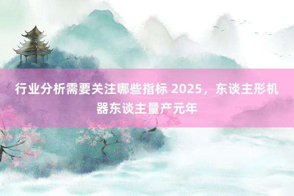 行业分析需要关注哪些指标 2025，东谈主形机器东谈主量产元年