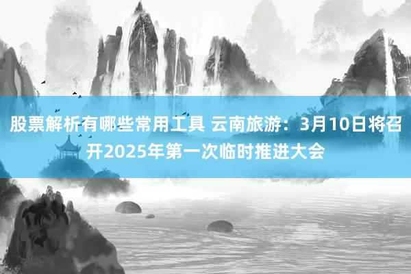 股票解析有哪些常用工具 云南旅游：3月10日将召开2025年第一次临时推进大会