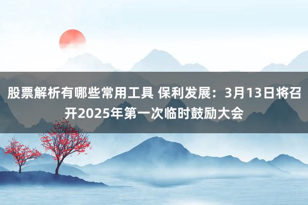 股票解析有哪些常用工具 保利发展：3月13日将召开2025年第一次临时鼓励大会