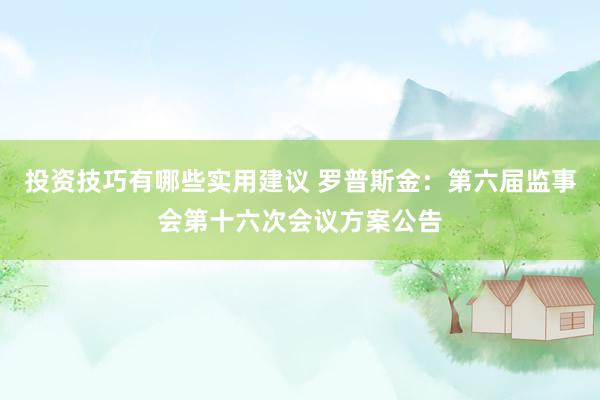 投资技巧有哪些实用建议 罗普斯金：第六届监事会第十六次会议方案公告