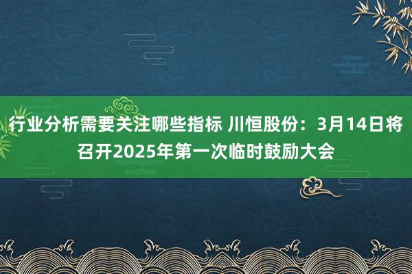 行业分析需要关注哪些指标 川恒股份：3月14日将召开2025年第一次临时鼓励大会