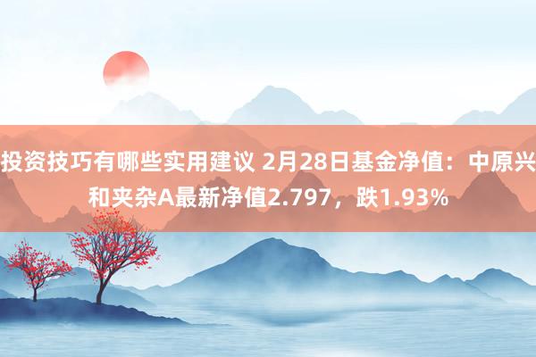 投资技巧有哪些实用建议 2月28日基金净值：中原兴和夹杂A最新净值2.797，跌1.93%