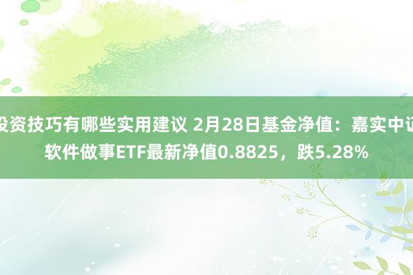 投资技巧有哪些实用建议 2月28日基金净值：嘉实中证软件做事ETF最新净值0.8825，跌5.28%