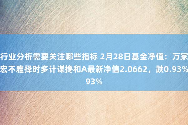 行业分析需要关注哪些指标 2月28日基金净值：万家宏不雅择时多计谋搀和A最新净值2.0662，跌0.93%