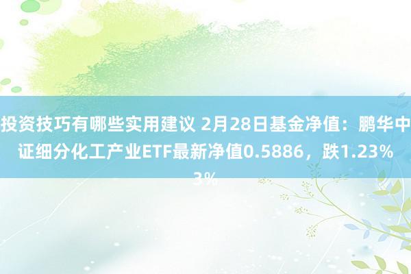 投资技巧有哪些实用建议 2月28日基金净值：鹏华中证细分化工产业ETF最新净值0.5886，跌1.23%