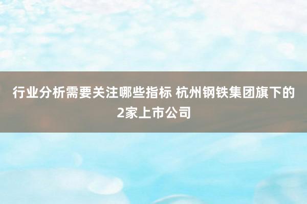 行业分析需要关注哪些指标 杭州钢铁集团旗下的2家上市公司