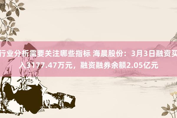 行业分析需要关注哪些指标 海晨股份：3月3日融资买入3177.47万元，融资融券余额2.05亿元