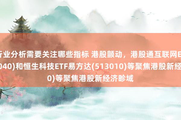 行业分析需要关注哪些指标 港股颤动，港股通互联网ETF(513040)和恒生科技ETF易方达(513010)等聚焦港股新经济畛域