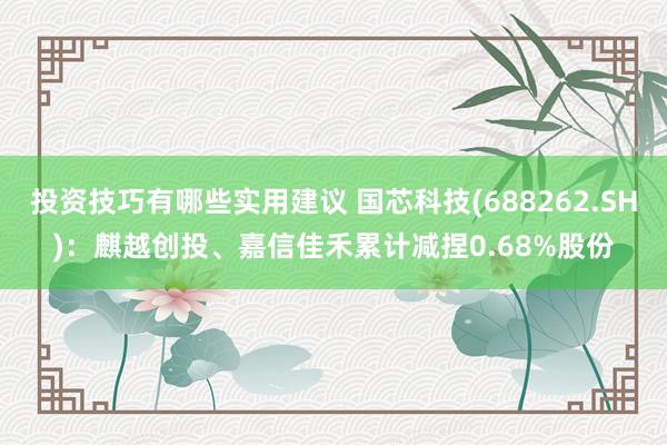 投资技巧有哪些实用建议 国芯科技(688262.SH)：麒越创投、嘉信佳禾累计减捏0.68%股份