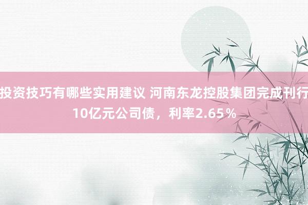 投资技巧有哪些实用建议 河南东龙控股集团完成刊行10亿元公司债，利率2.65％