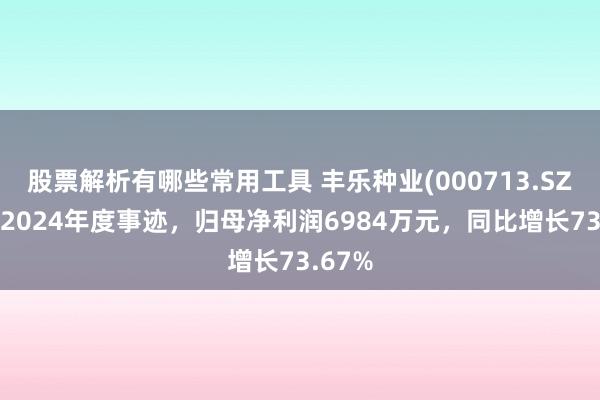 股票解析有哪些常用工具 丰乐种业(000713.SZ)发布2024年度事迹，归母