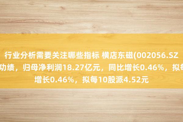 行业分析需要关注哪些指标 横店东磁(002056.SZ)发布2024年度功绩，归