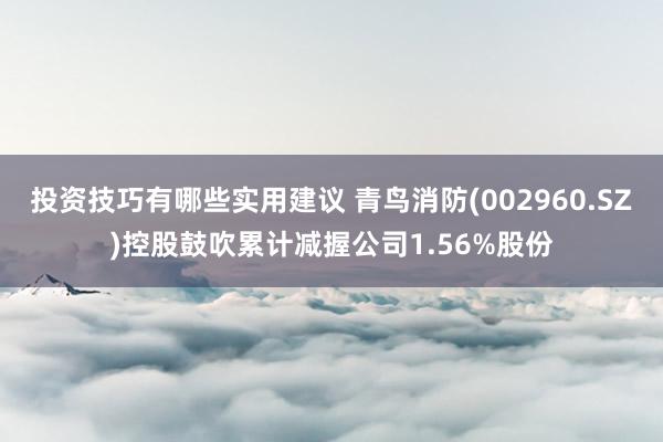 投资技巧有哪些实用建议 青鸟消防(002960.SZ)控股鼓吹累计减握公司1.5