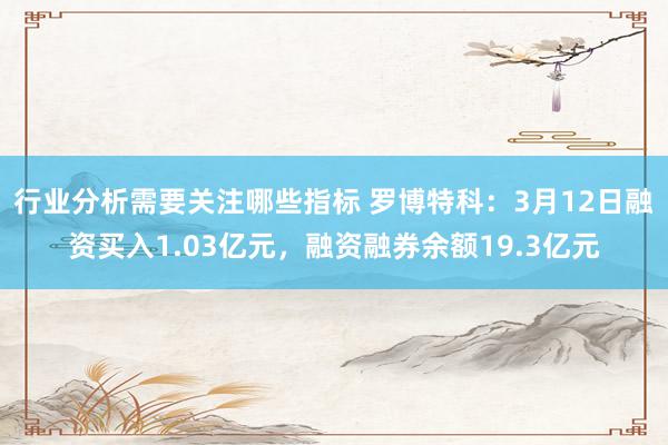 行业分析需要关注哪些指标 罗博特科：3月12日融资买入1.03亿元，融资融券余额