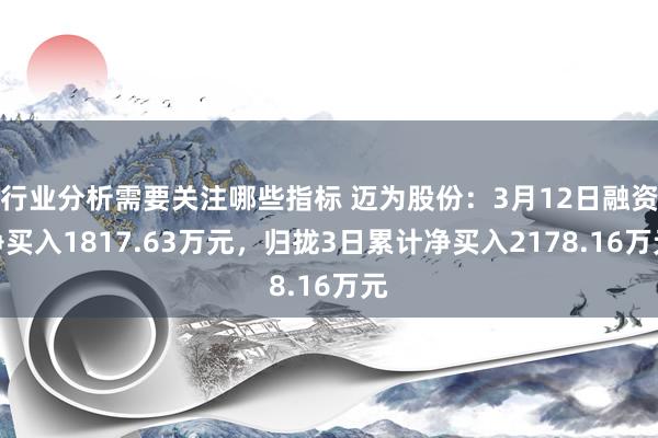 行业分析需要关注哪些指标 迈为股份：3月12日融资净买入1817.63万元，归拢