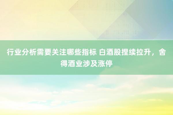 行业分析需要关注哪些指标 白酒股捏续拉升，舍得酒业涉及涨停