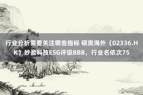 行业分析需要关注哪些指标 硕奥海外（02336.HK）妙盈科技ESG评级BBB，