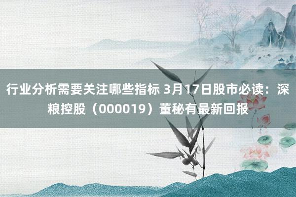 行业分析需要关注哪些指标 3月17日股市必读：深粮控股（000019）董秘有最新