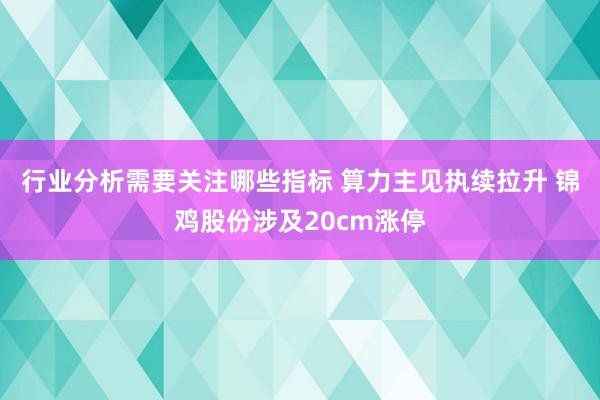 行业分析需要关注哪些指标 算力主见执续拉升 锦鸡股份涉及20cm涨停