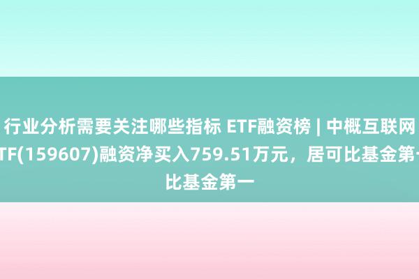 行业分析需要关注哪些指标 ETF融资榜 | 中概互联网ETF(159607)融资