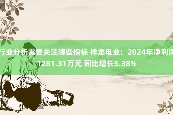 行业分析需要关注哪些指标 祥龙电业：2024年净利润1281.31万元 同比增长